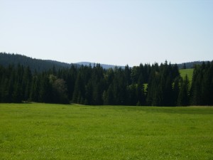 Šumava.JPG